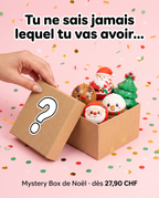 Ouverture d'une Mystery Box squishy